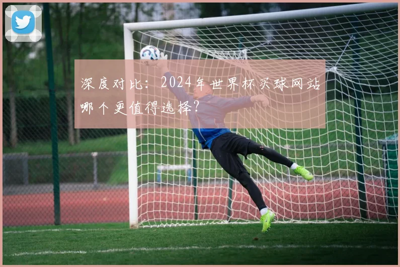 深度对比：2024年世界杯买球网站哪个更值得选择？
