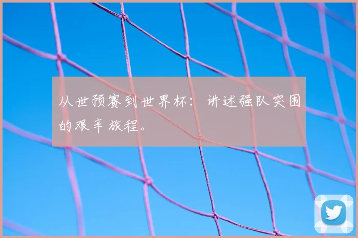 从世预赛到世界杯：讲述强队突围的艰辛旅程。