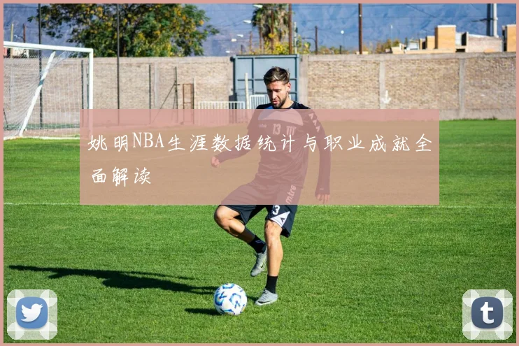 姚明NBA生涯数据统计与职业成就全面解读