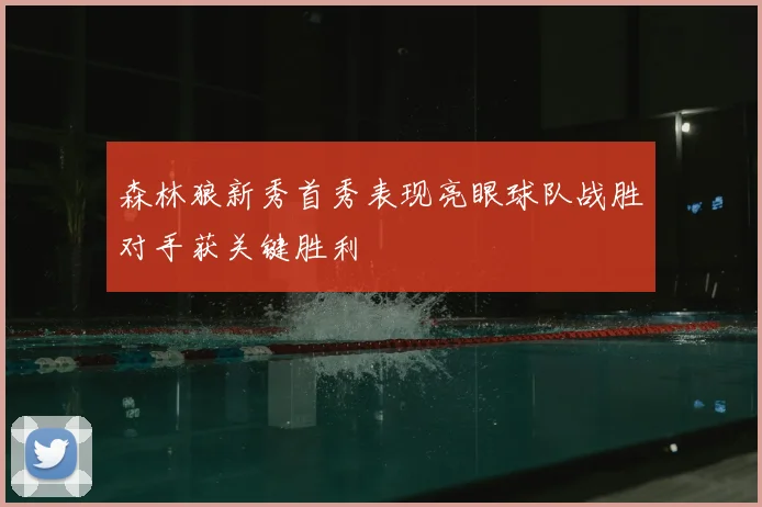 森林狼新秀首秀表现亮眼球队战胜对手获关键胜利