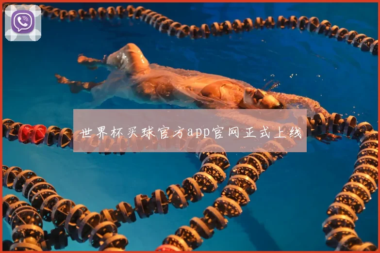 世界杯买球官方app官网正式上线