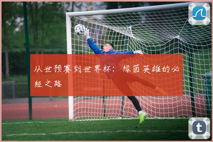 从世预赛到世界杯:绿茵英雄的必经之路