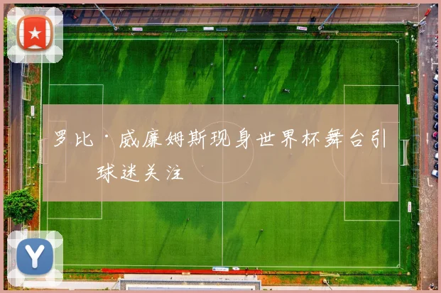 罗比·威廉姆斯现身世界杯舞台引发球迷关注