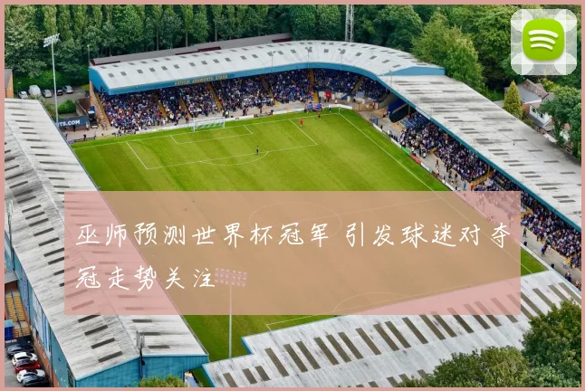 巫师预测世界杯冠军 引发球迷对夺冠走势关注