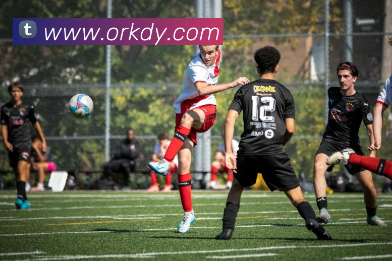 数据分析功能